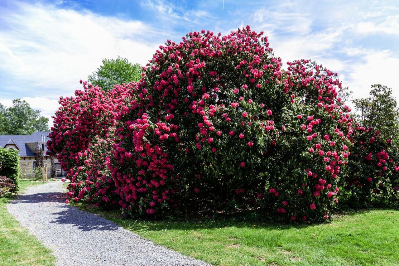 Domaine De Ronchinne - Maison Du Jardinier Maillen Экстерьер фото